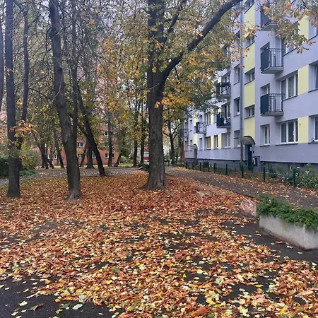 Yellow Airport Galeria Mokotow Netflix Apartment